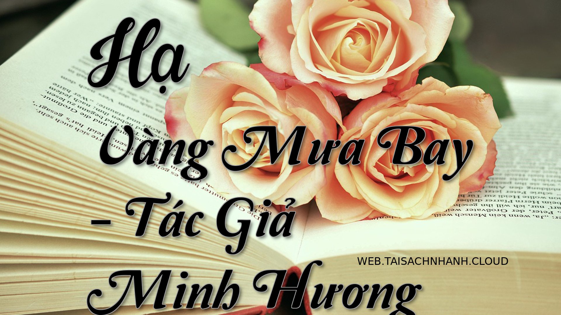 Cover Ha Vang Mua Bay.jpg