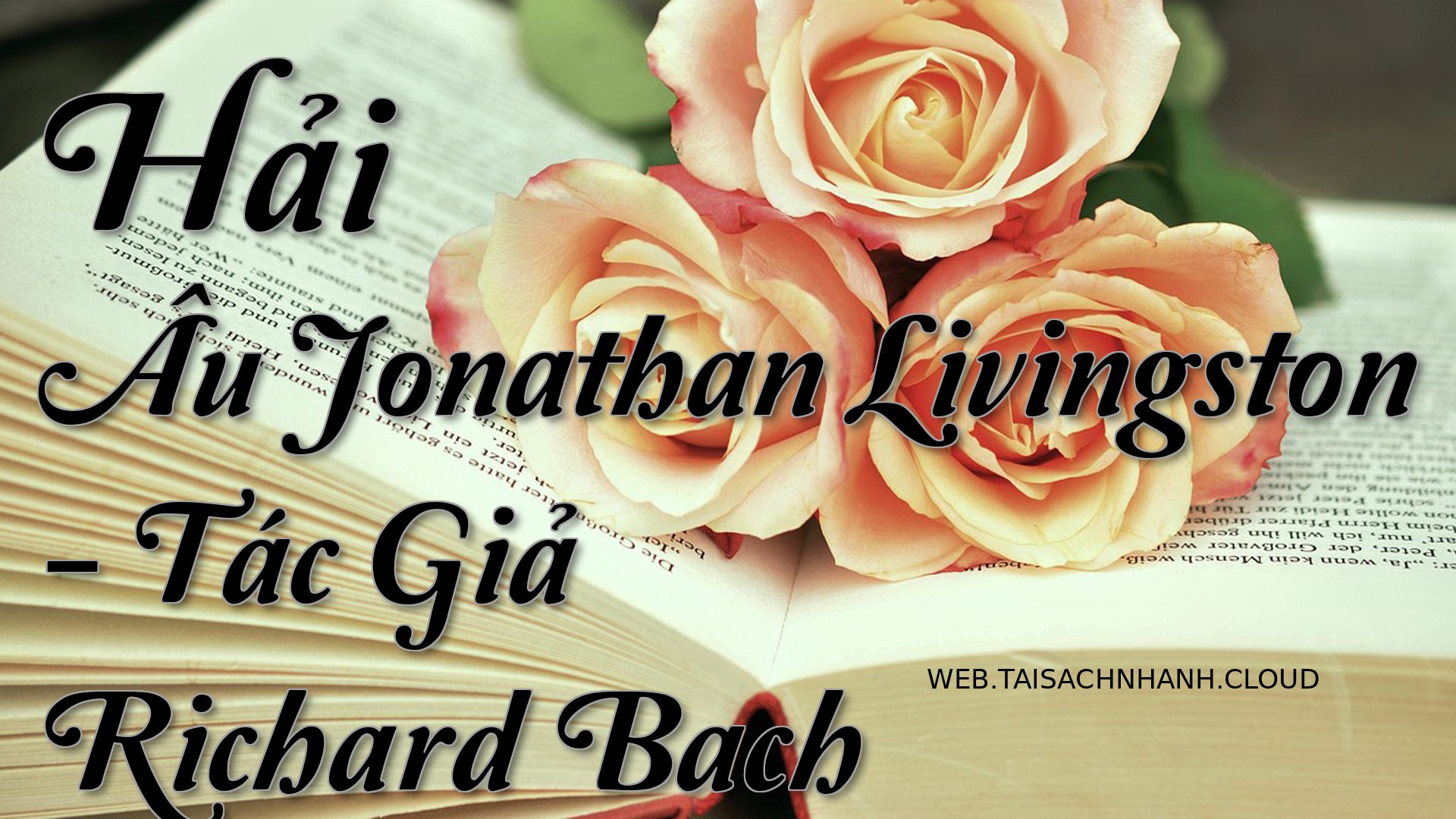 Cover Hai Au Jonathan Livi.jpg