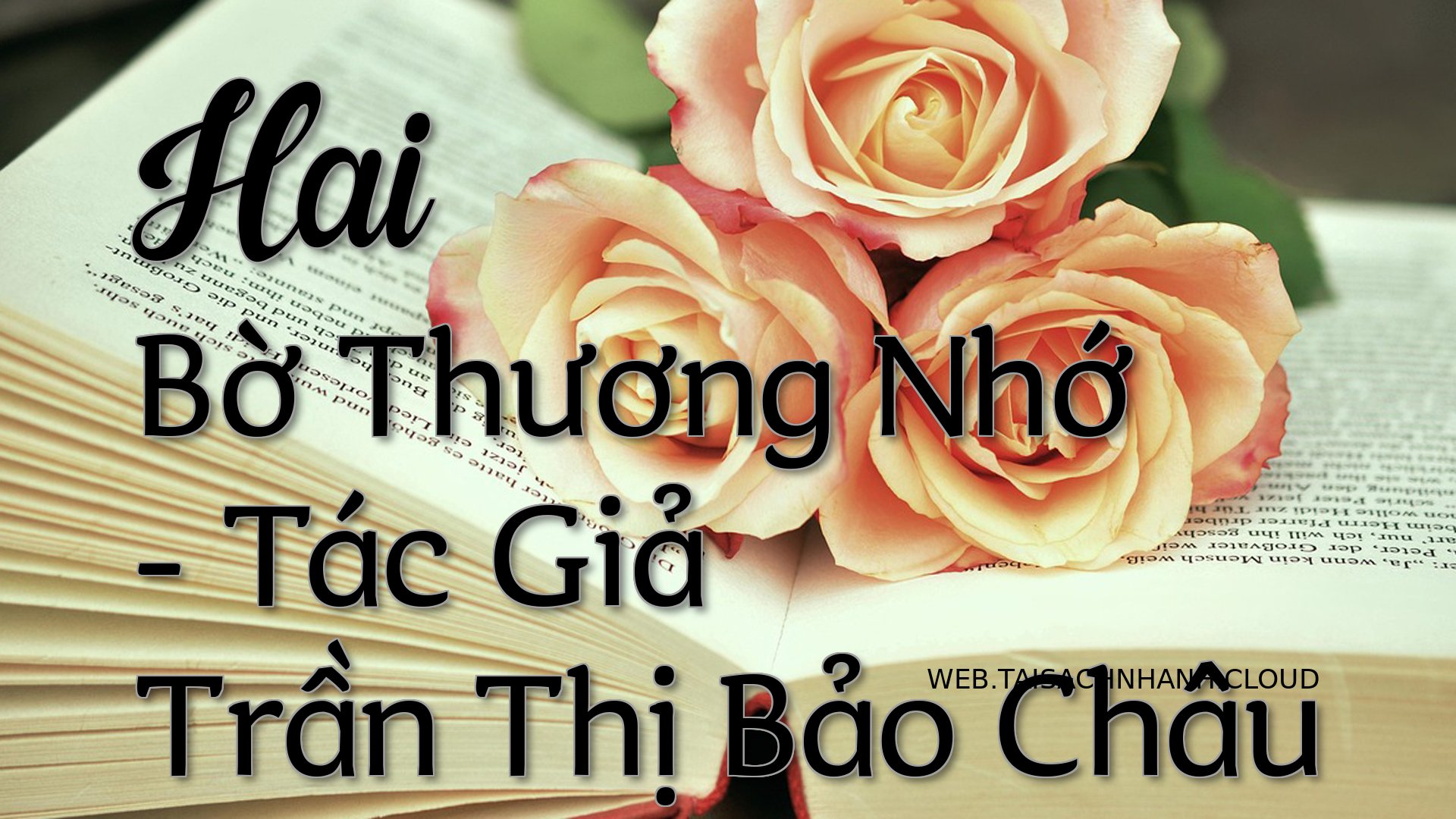 Cover Hai Bo Thuong Nho.jpg