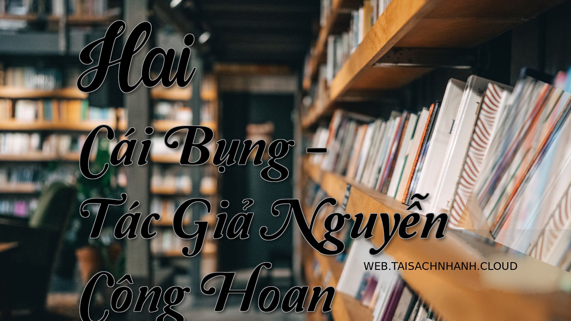 Cover Hai Cai Bung.jpg