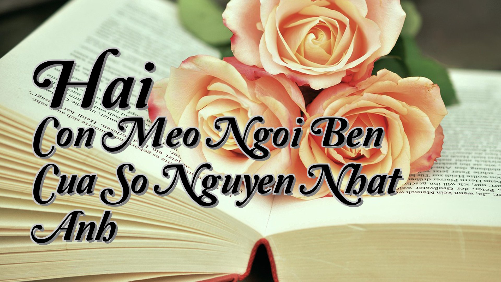 cover-Hai Con Meo Ngoi Ben Cua So Nguyen Nhat Anh