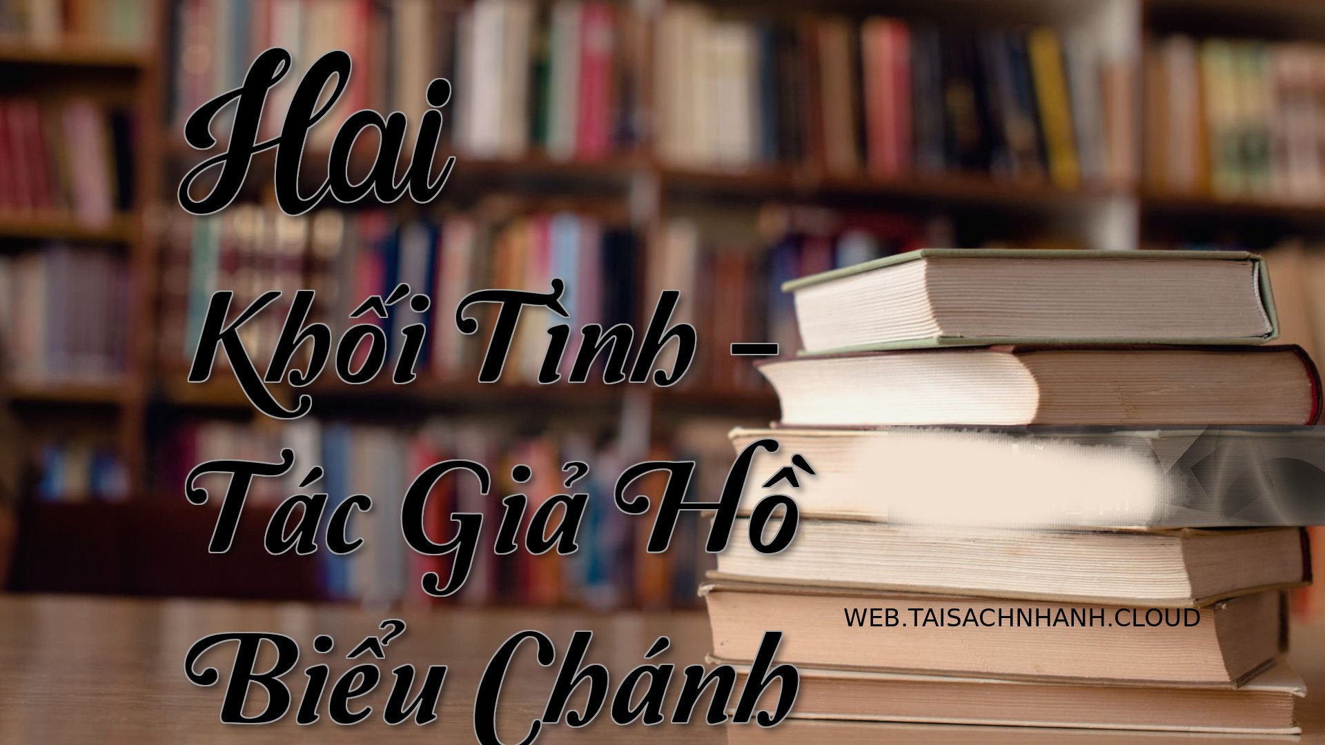 Cover Hai Khoi Tinh.jpg