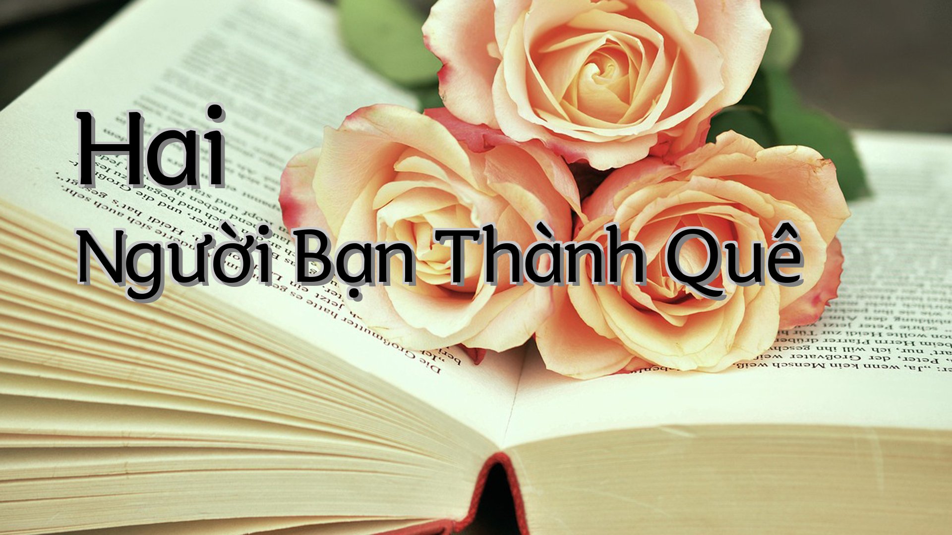 cover-Hai Người Bạn Thành Quê