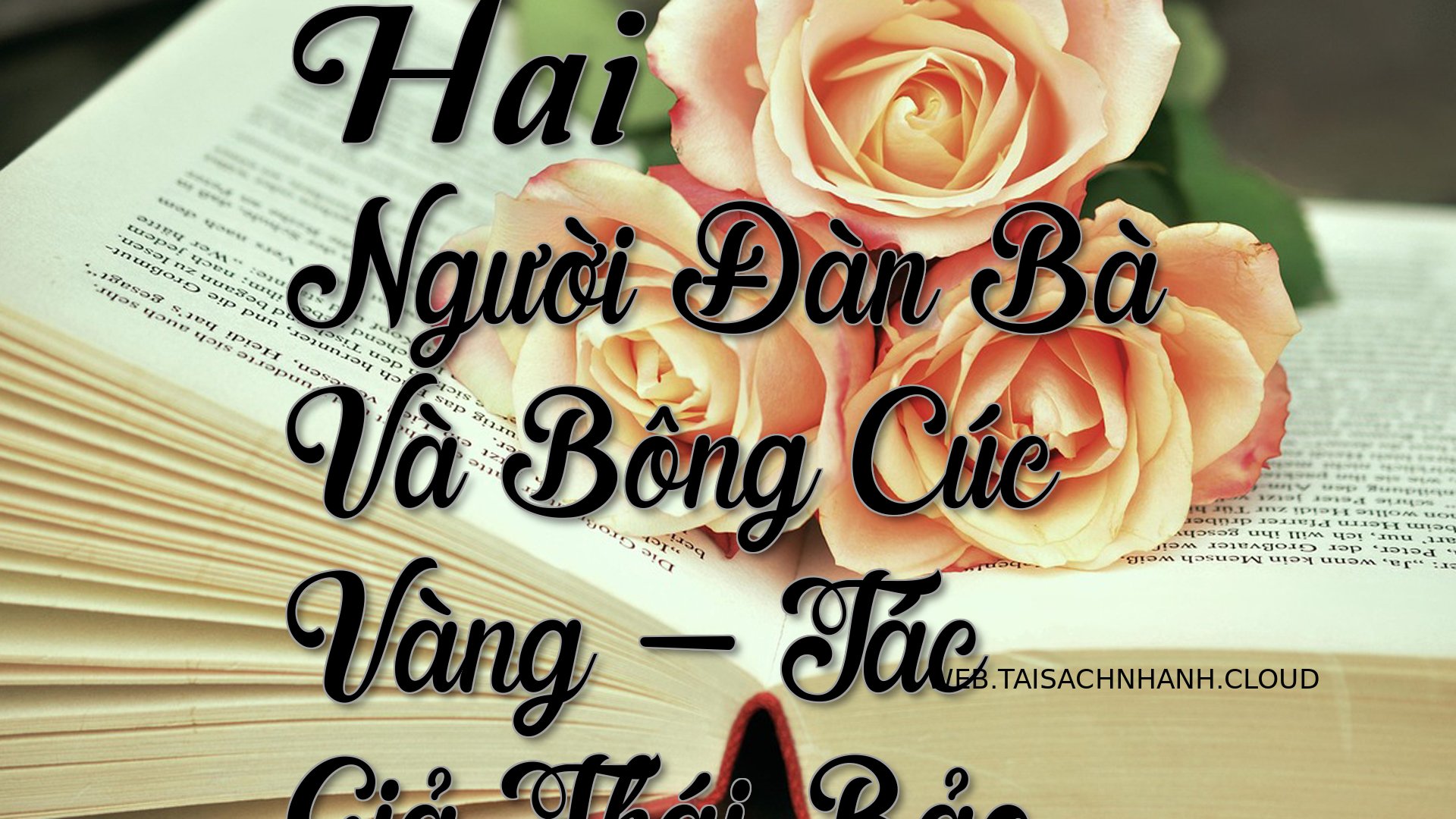 Cover Hai Nguoi Dan Ba Va .jpg