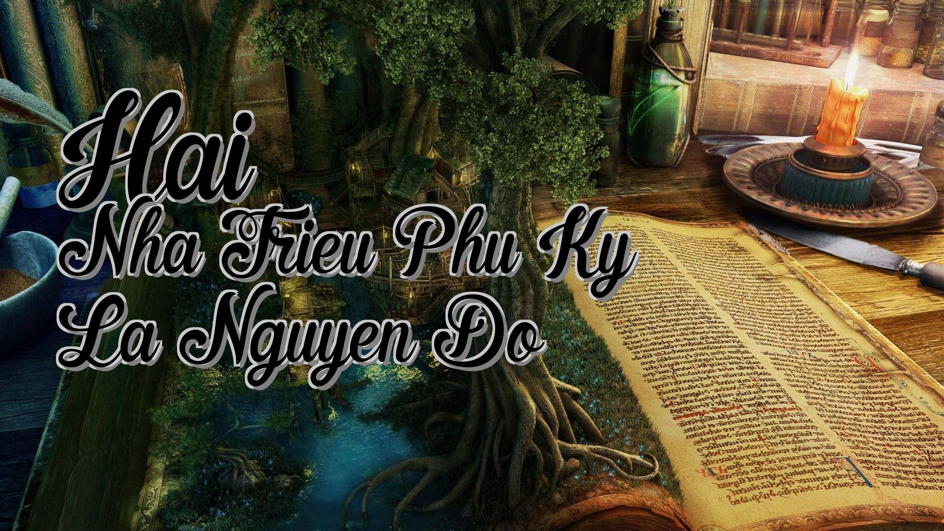 cover-Hai Nha Trieu Phu Ky La Nguyen Do