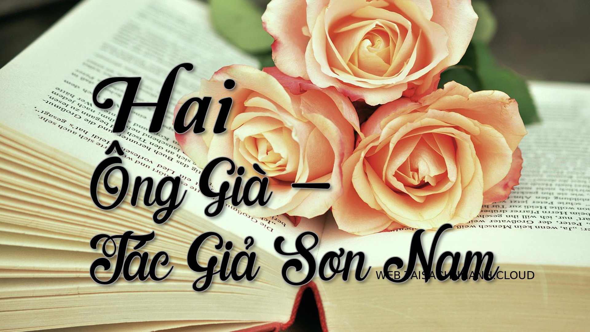 Cover Hai Ong Gia.jpg