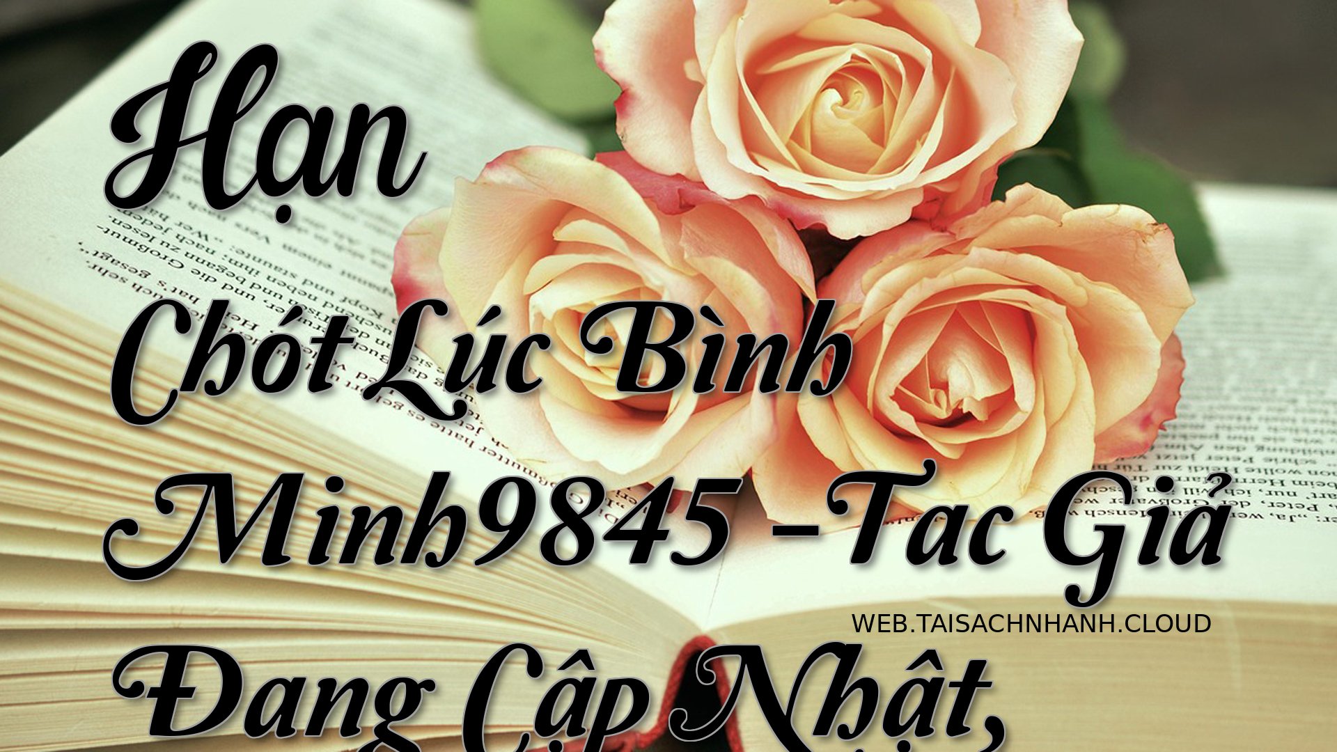 Cover Han Chot Luc Binh Mi.jpg