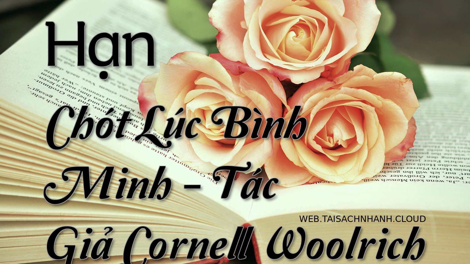 Cover Han Chot Luc Binh Mi.jpg