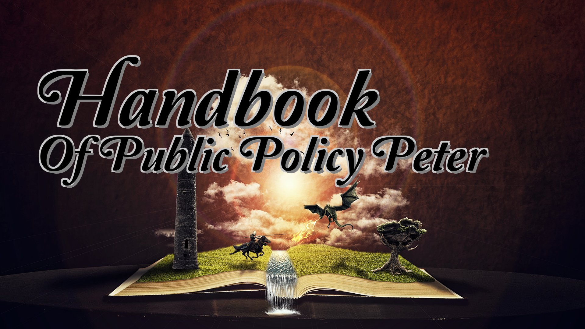 cover-Handbook Of Public Policy Peter