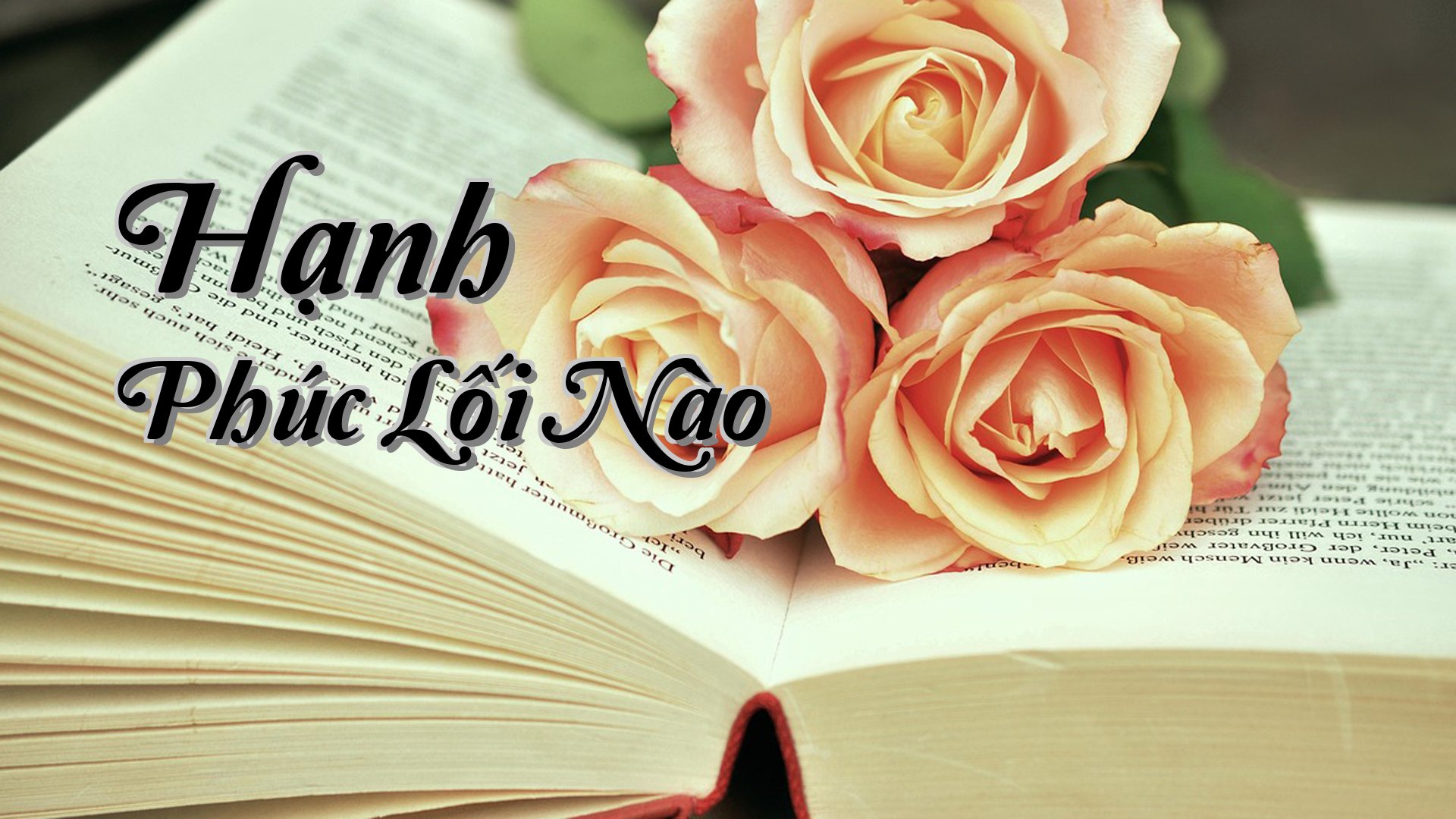 cover-Hạnh Phúc Lối Nào