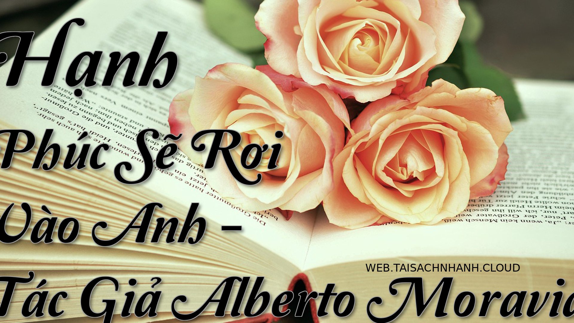 Cover Hanh Phuc Se Roi Vao.jpg