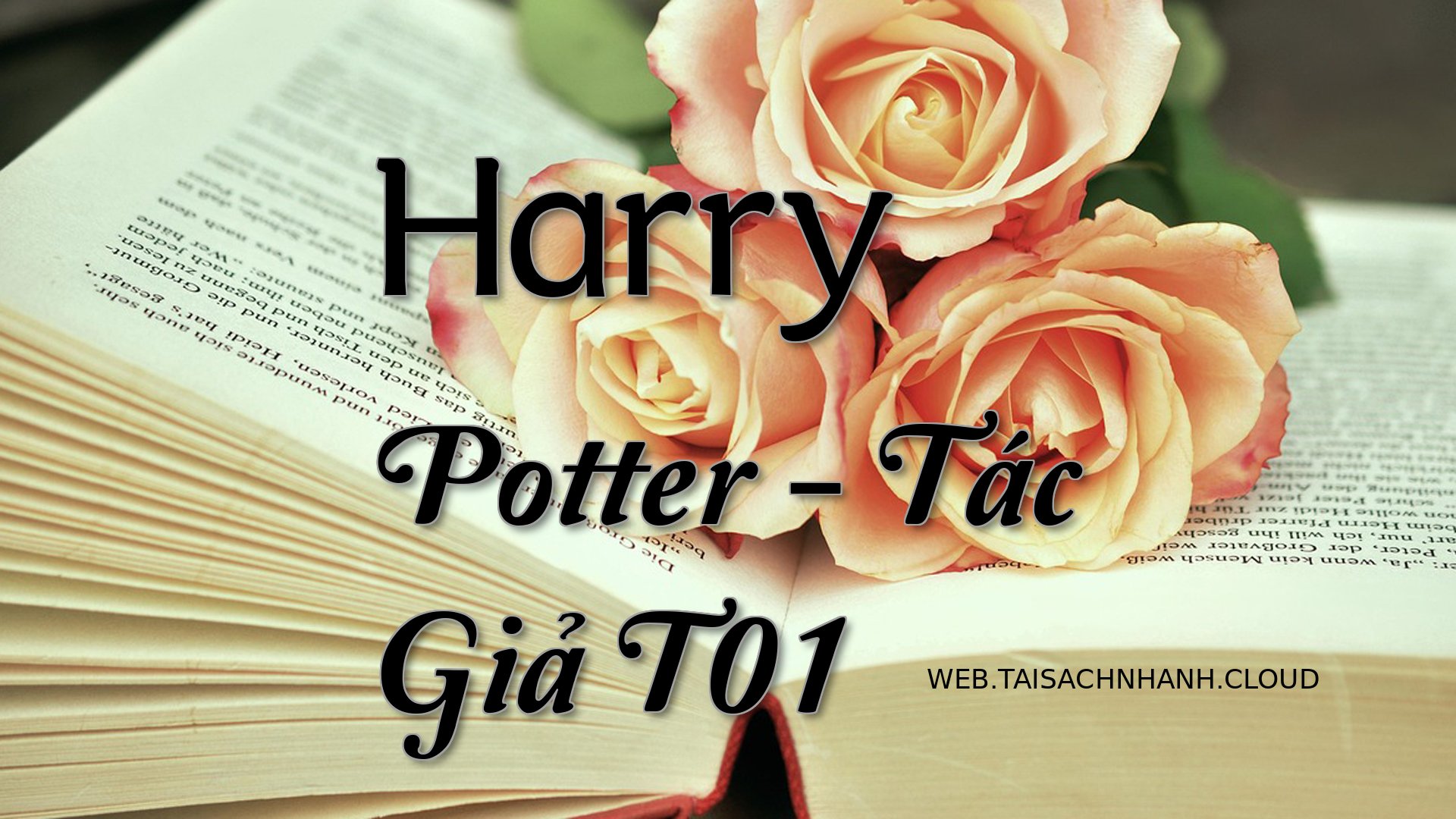 Cover Harry Potter Va Ten .jpg