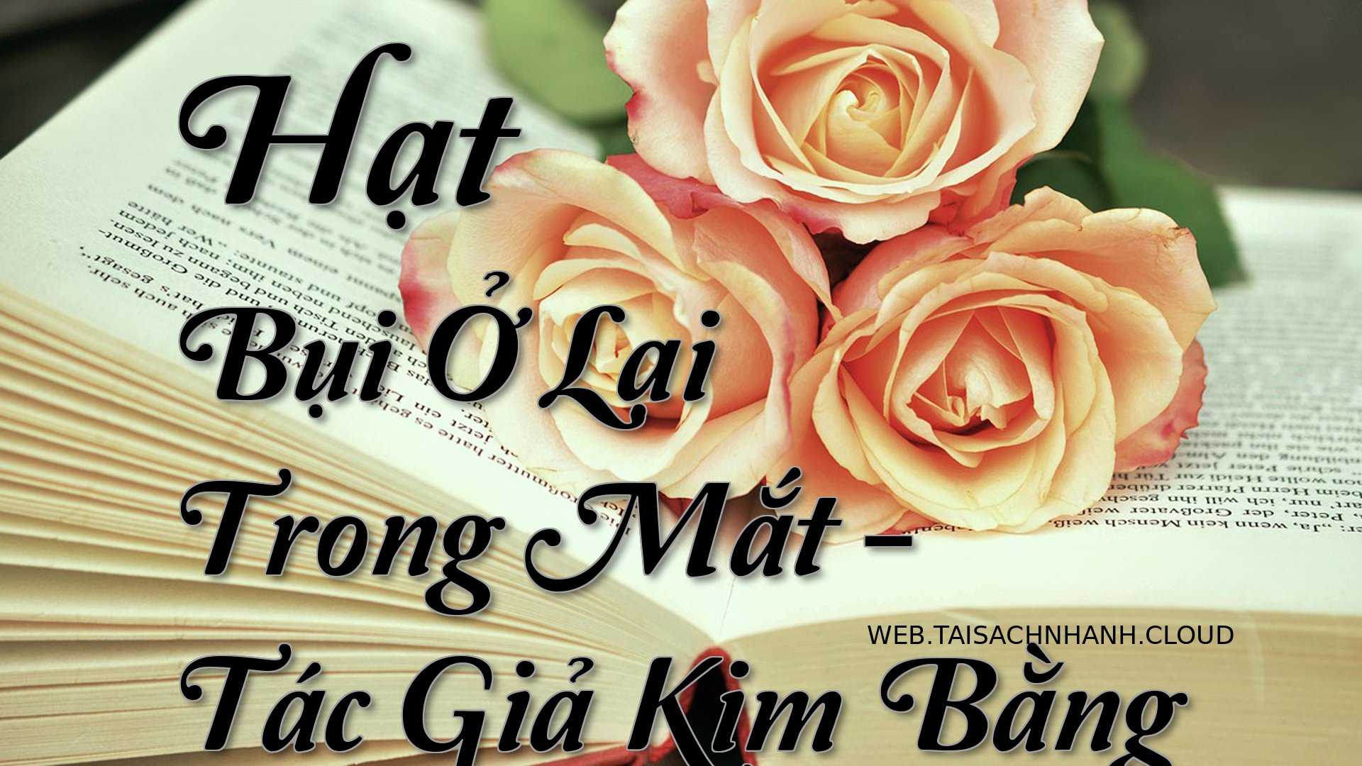 Cover Hat Bui O Lai Trong .jpg