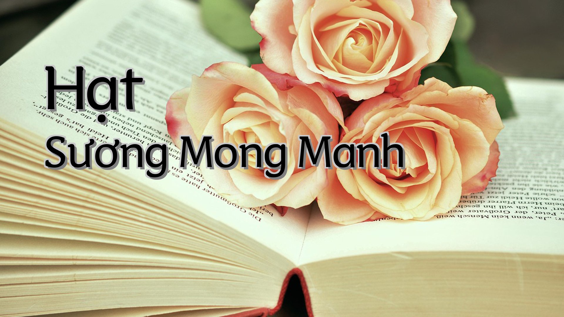 cover-Hạt Sương Mong Manh