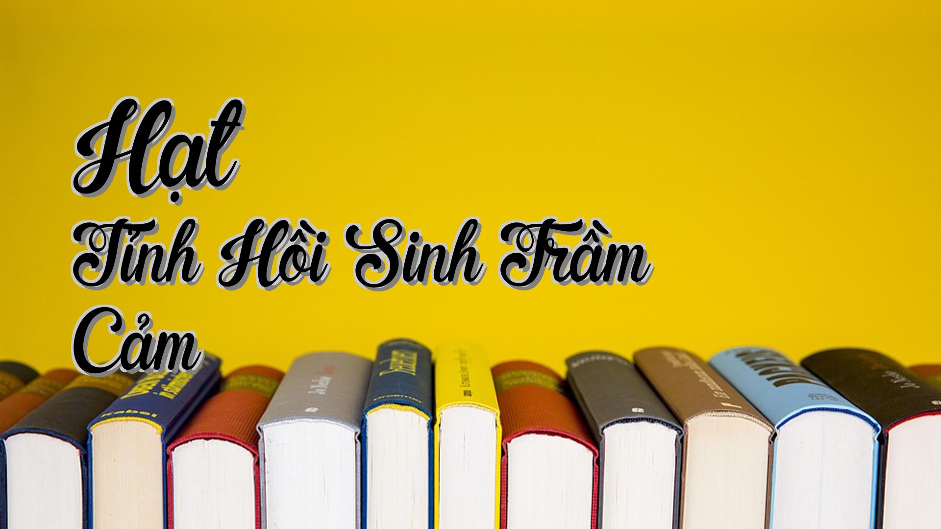 cover-Hạt Tỉnh Hồi Sinh Trầm Cảm