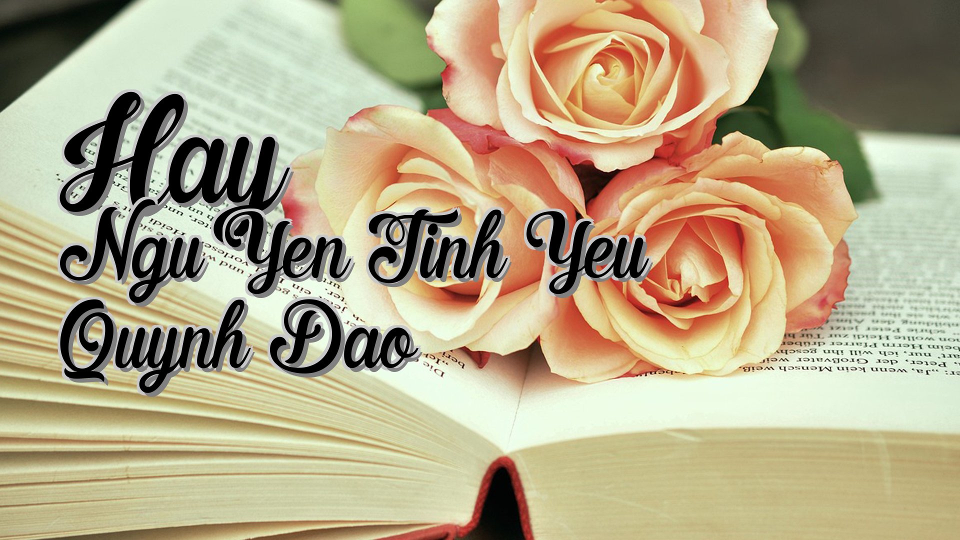cover-Hay Ngu Yen Tinh Yeu Quynh Dao