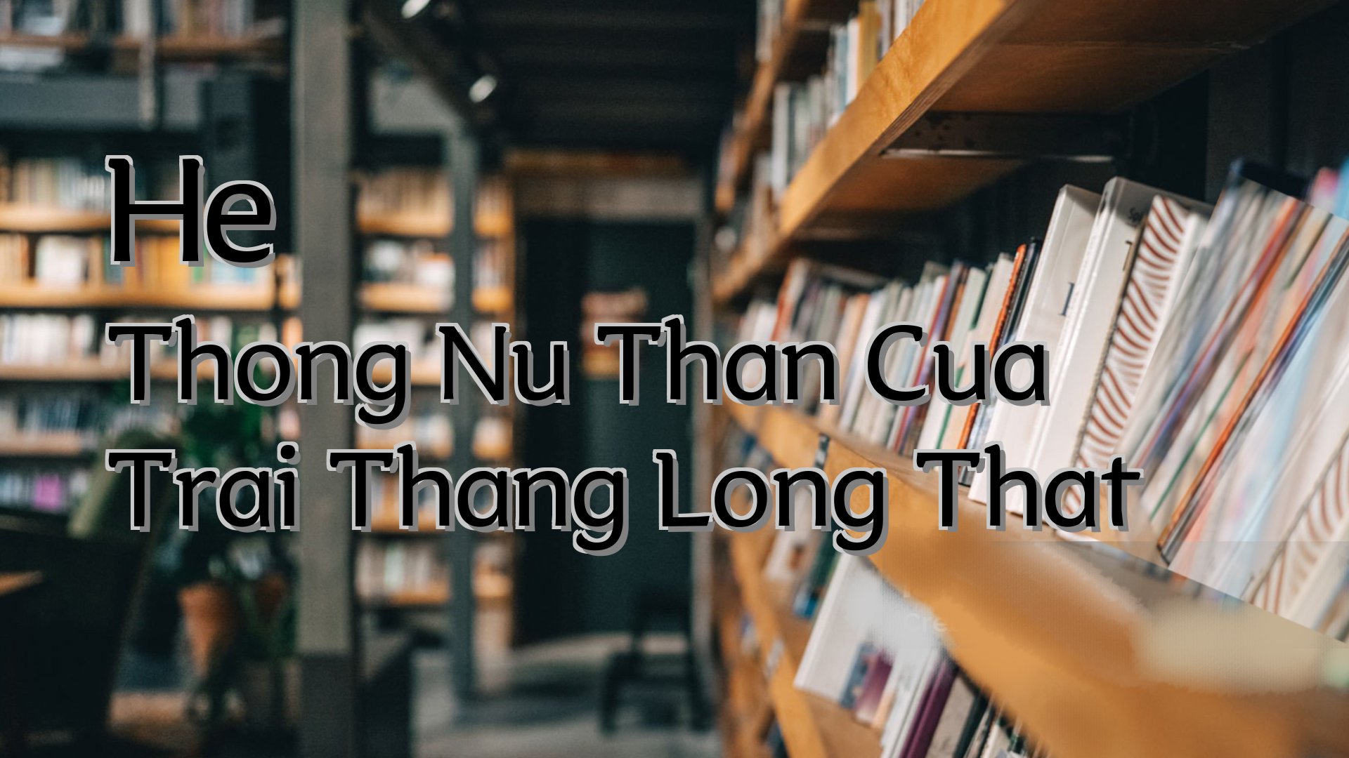 Cover image for He Thong Nu Than Cua Trai Thang Long That