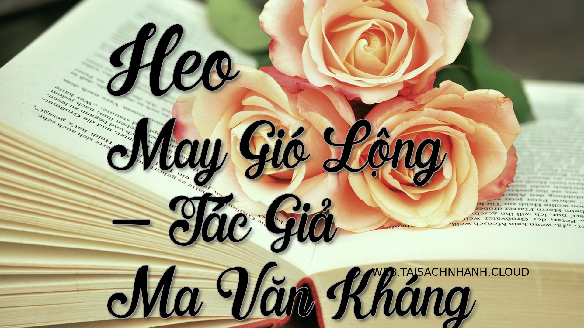 Cover Heo May Gio Long.jpg