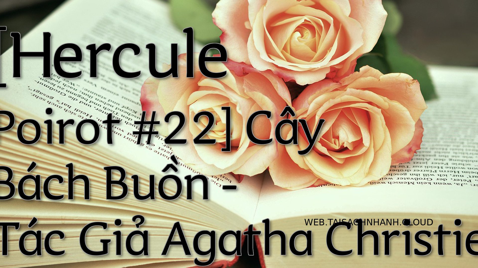 Cover Hercule Poirot 22.jpg