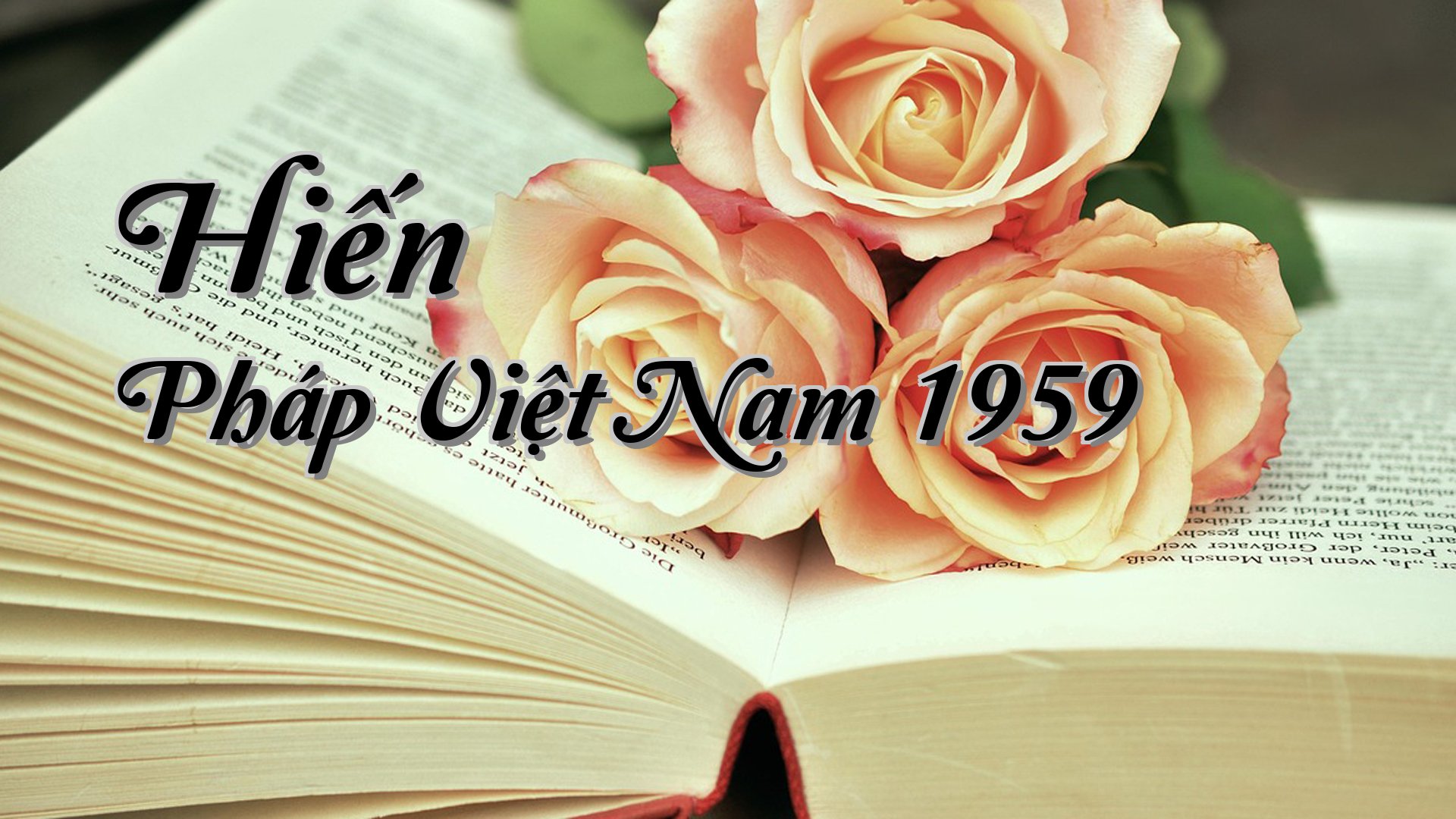 cover-Hiến Pháp Việt Nam 1959