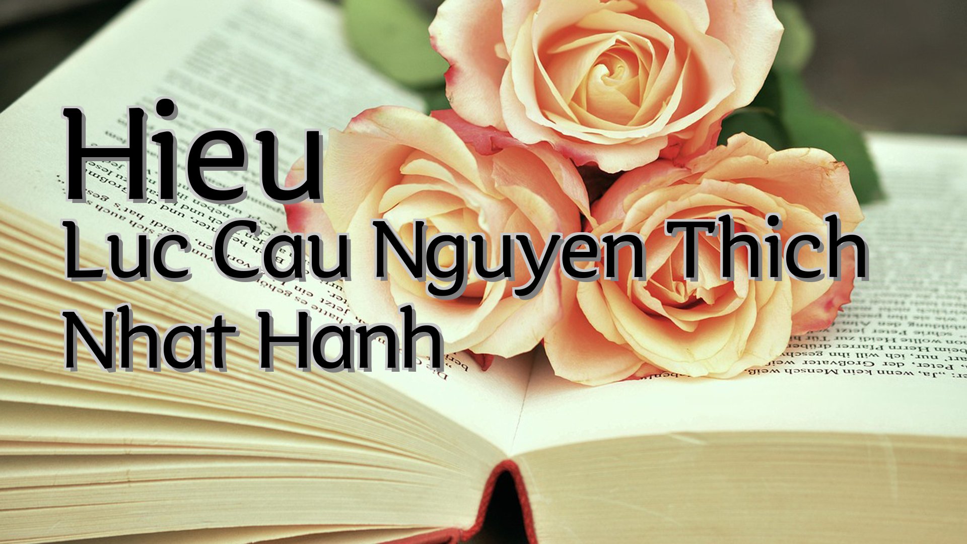 cover-Hieu Luc Cau Nguyen Thich Nhat Hanh