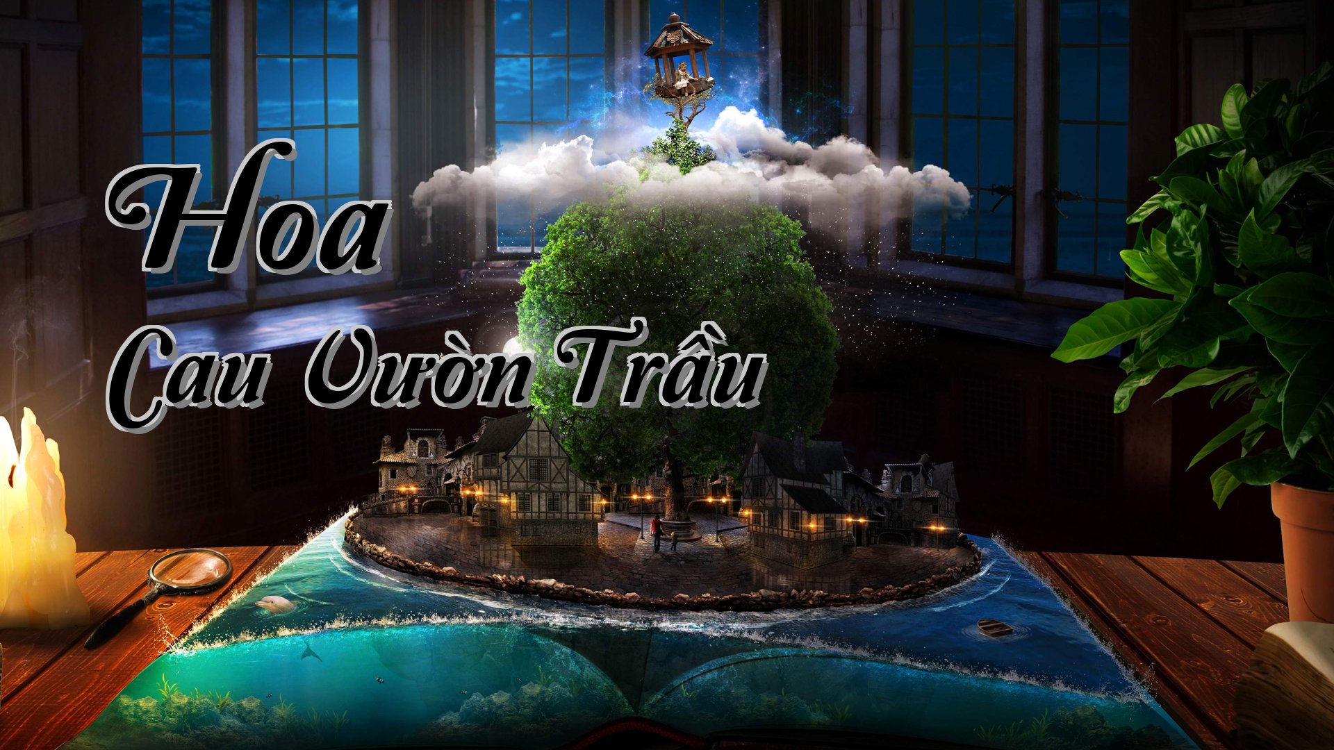 cover-Hoa Cau Vườn Trầu