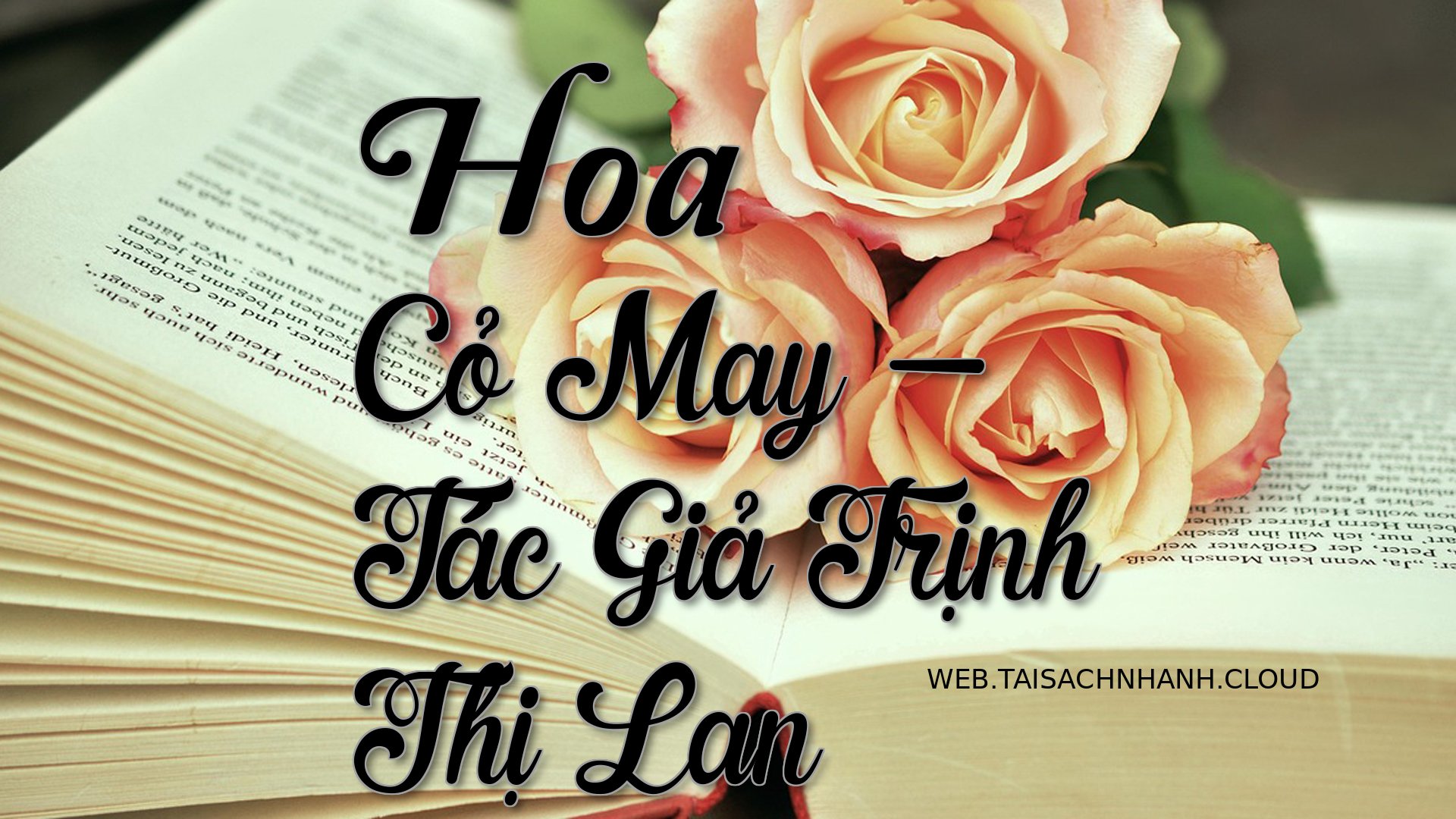 Cover Hoa Co May.jpg