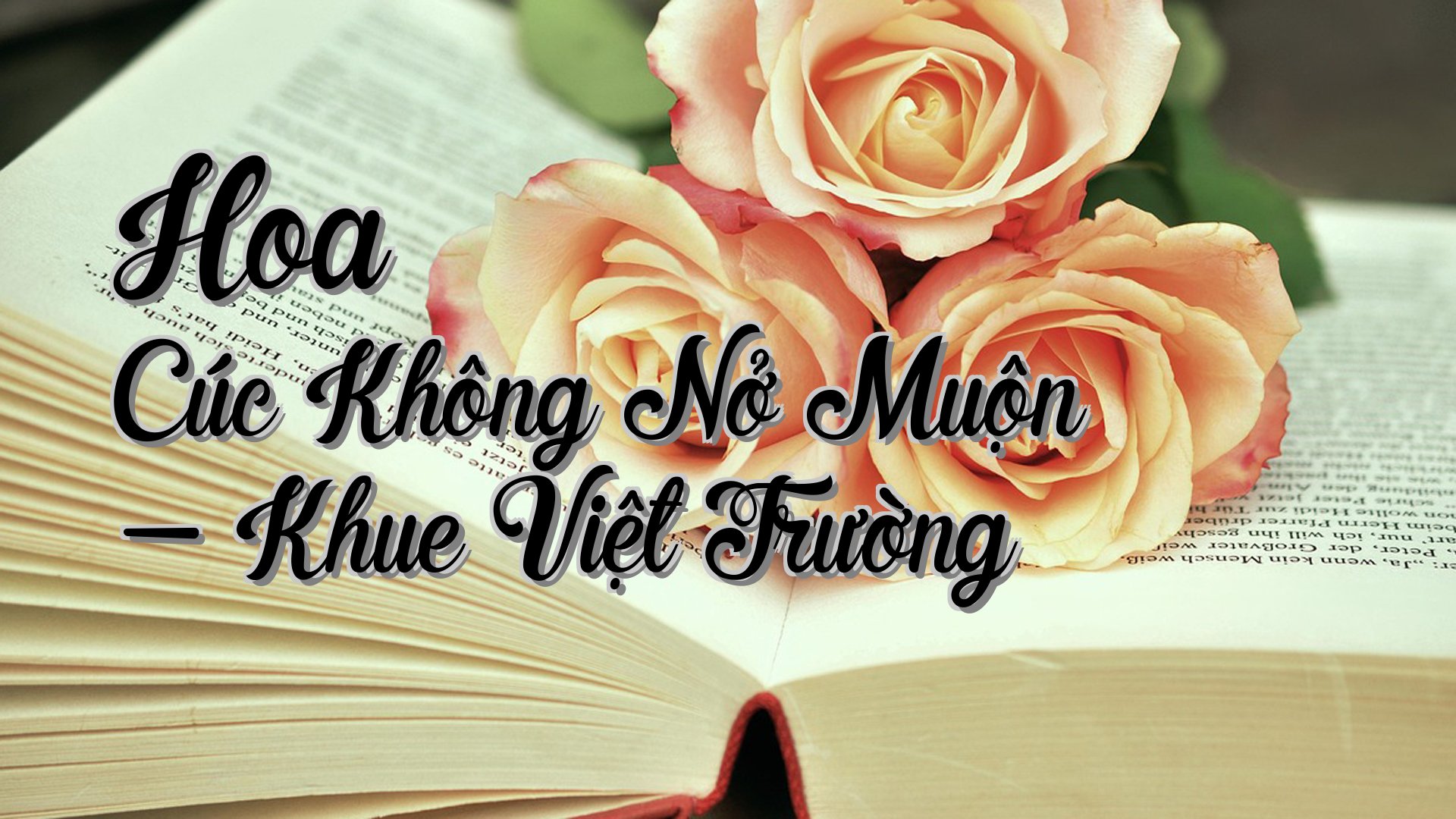cover-Hoa Cúc Không Nở Muộn - Khue Việt Trường
