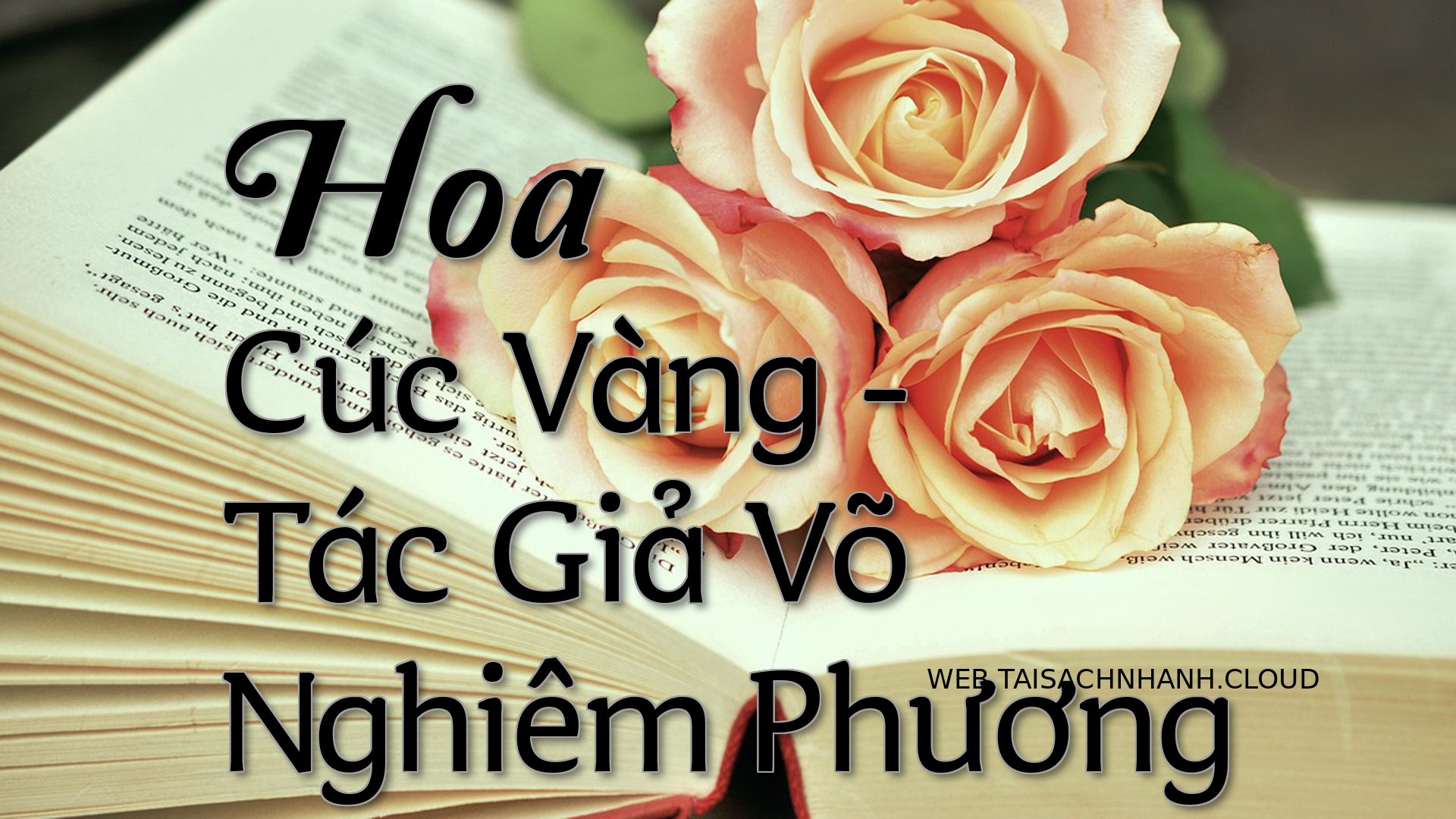 Cover Hoa Cuc Vang.jpg