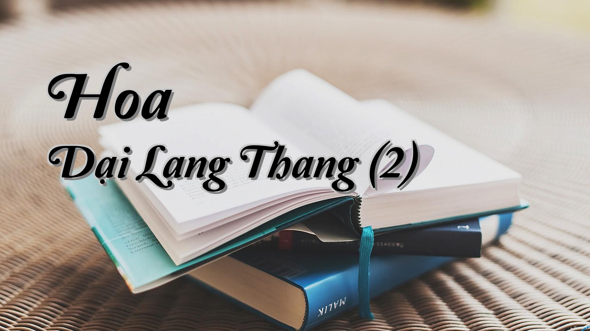 cover-Hoa Dại Lang Thang (2)
