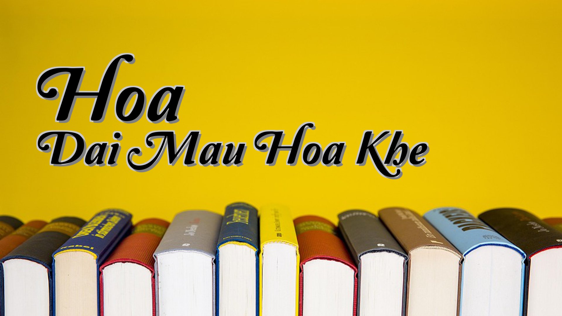 cover-Hoa Dai Mau Hoa Khe