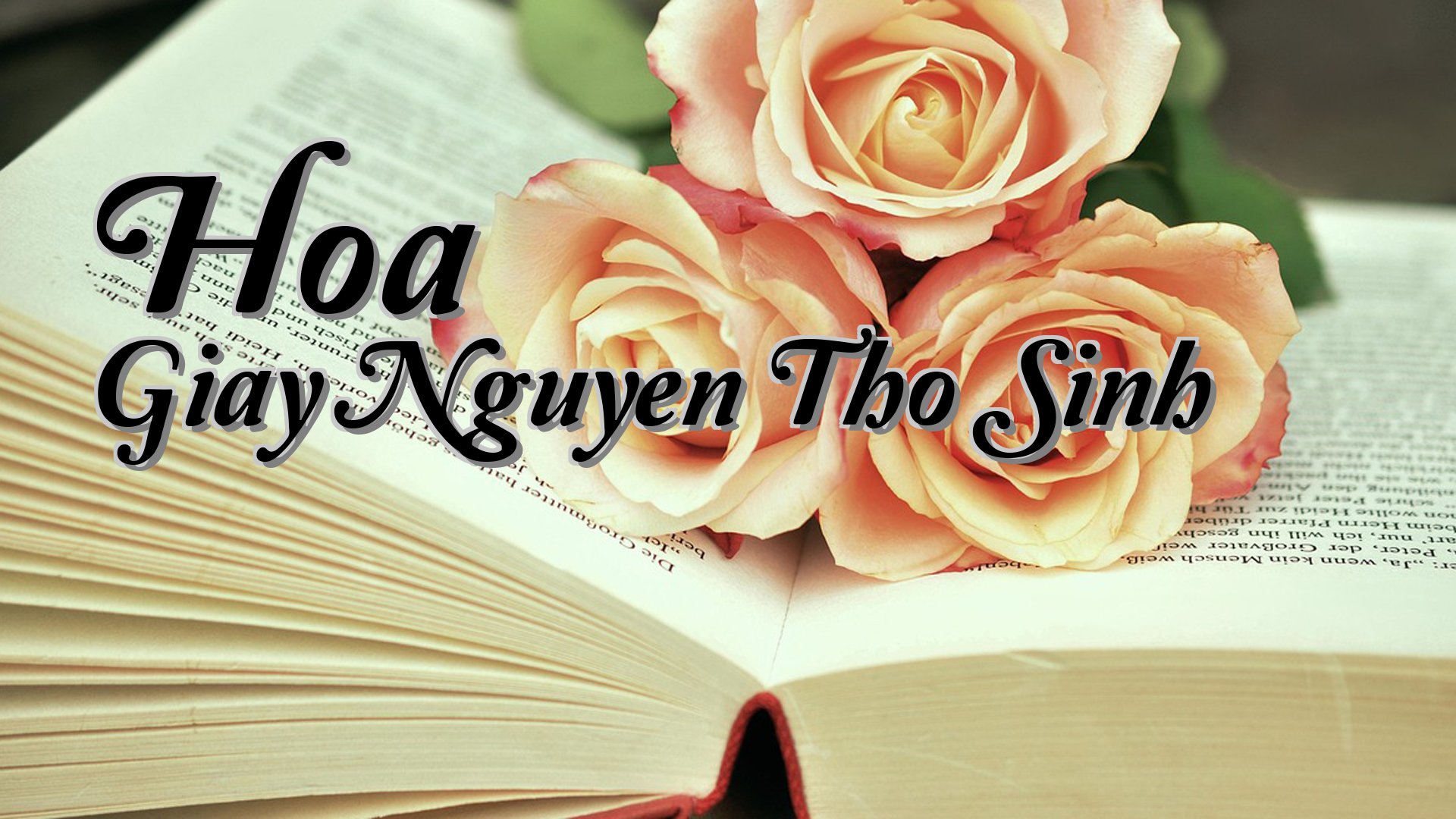 cover-Hoa Giay Nguyen Tho Sinh