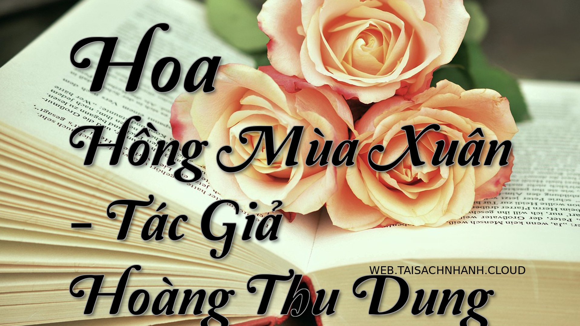 Cover Hoa Hong Mua Xuan.jpg