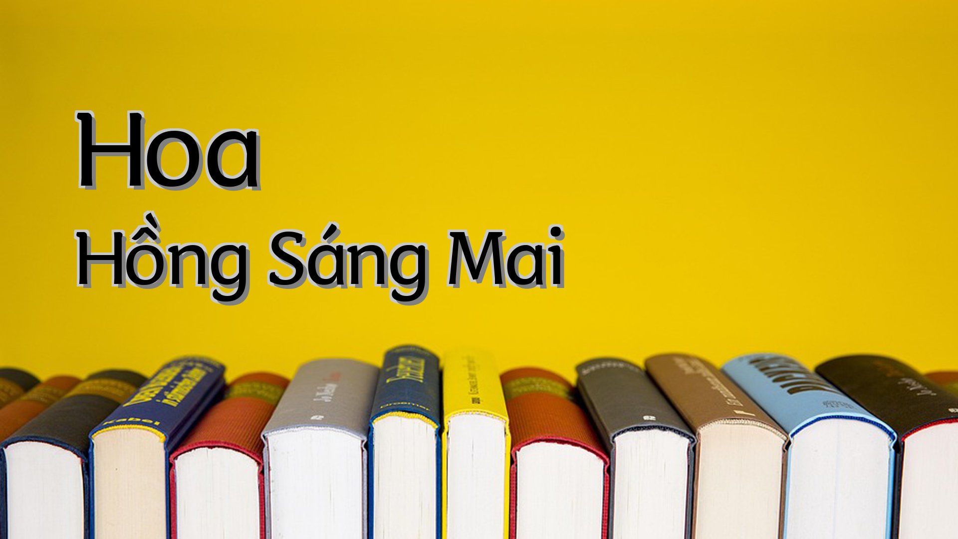 cover-Hoa Hồng Sáng Mai