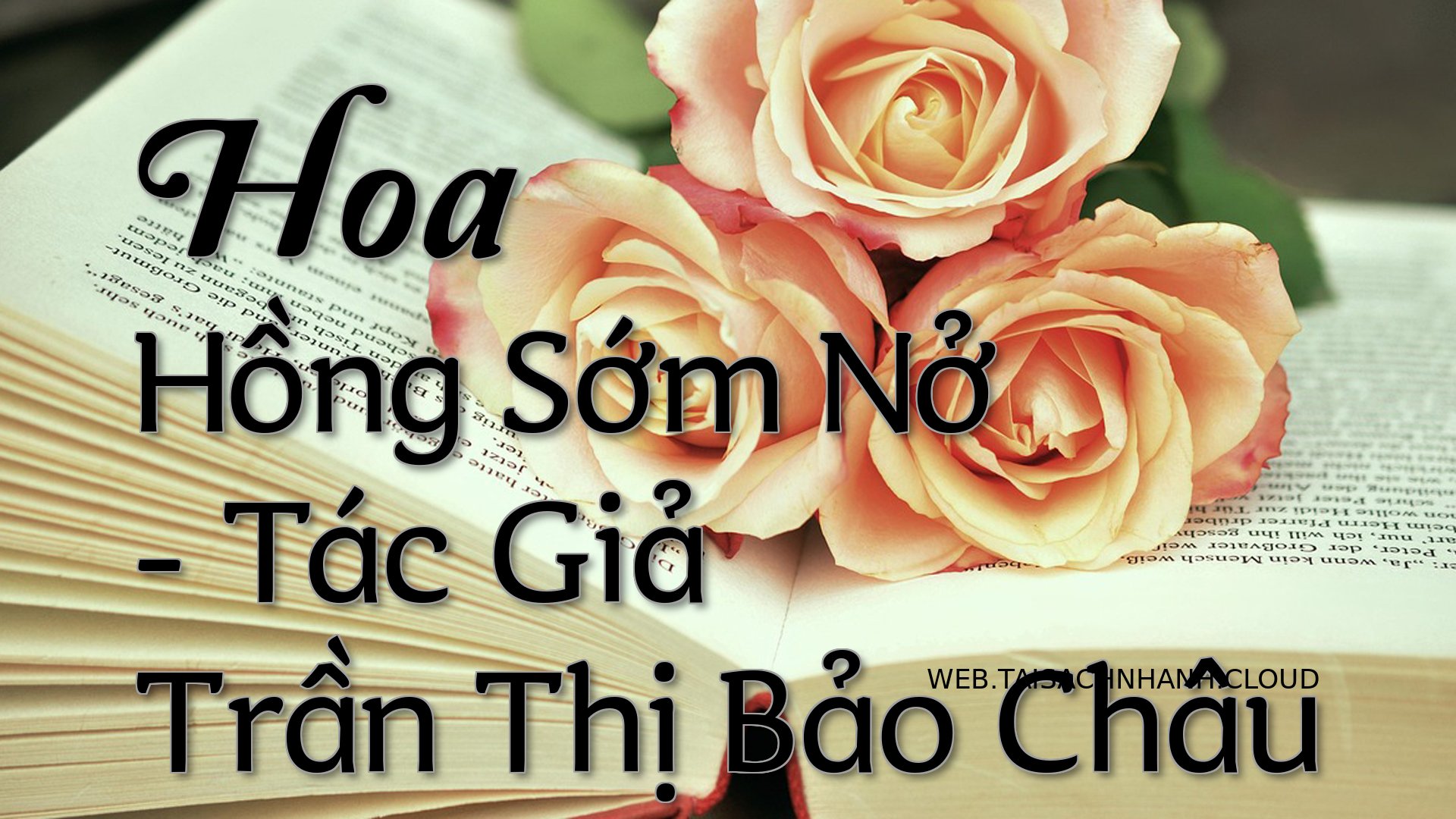 Cover Hoa Hong Som No.jpg