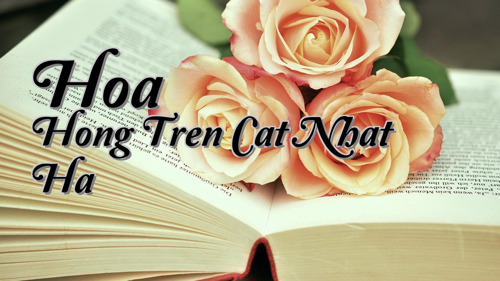 cover-Hoa Hong Tren Cat Nhat Ha