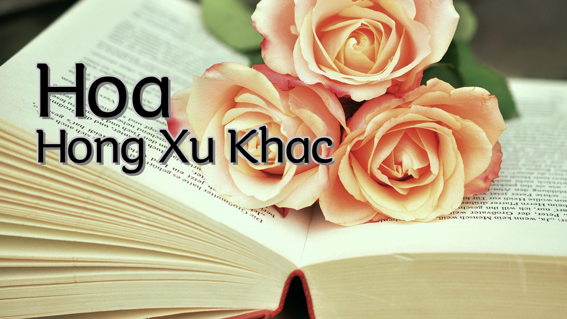 cover-Hoa Hong Xu Khac