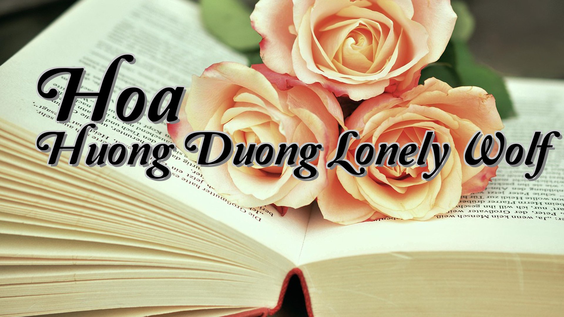 cover-Hoa Huong Duong Lonely Wolf
