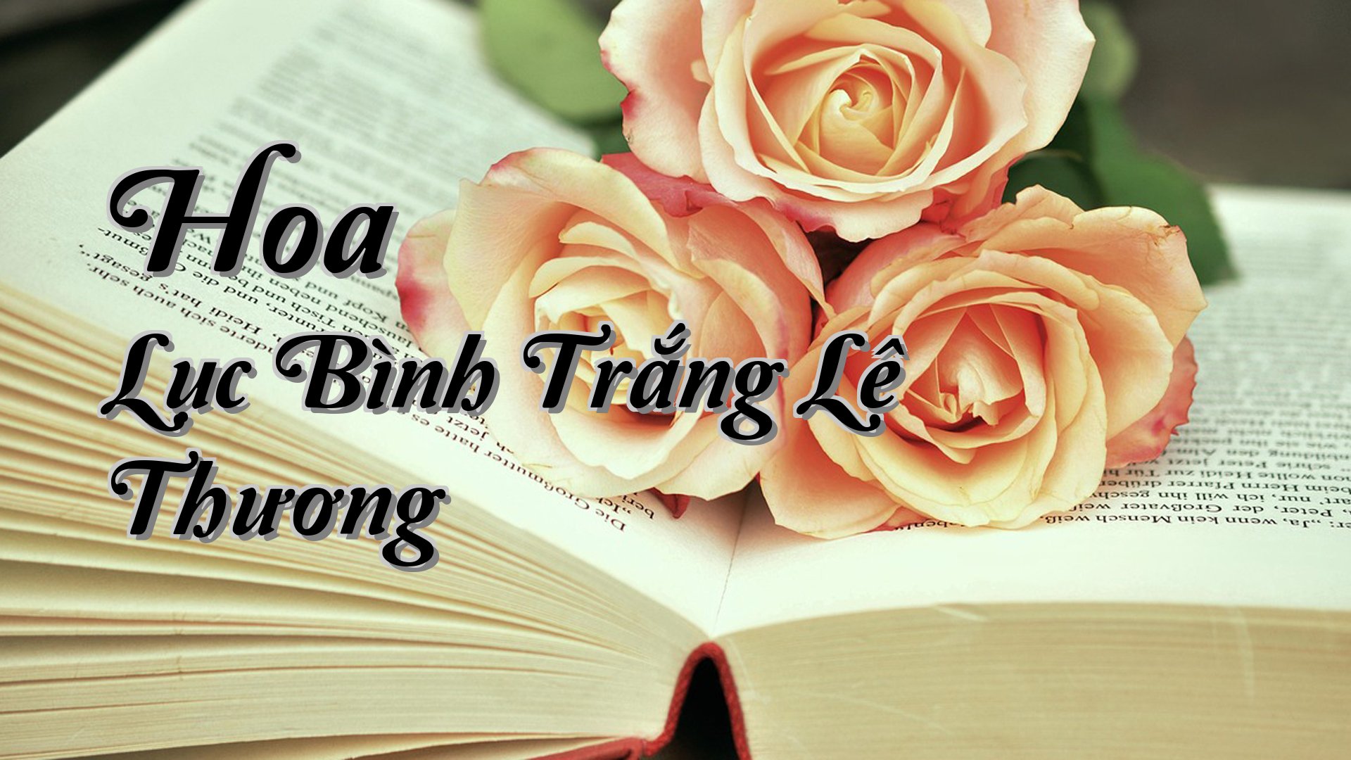cover-Hoa Lục Bình Trắng Lê Thương