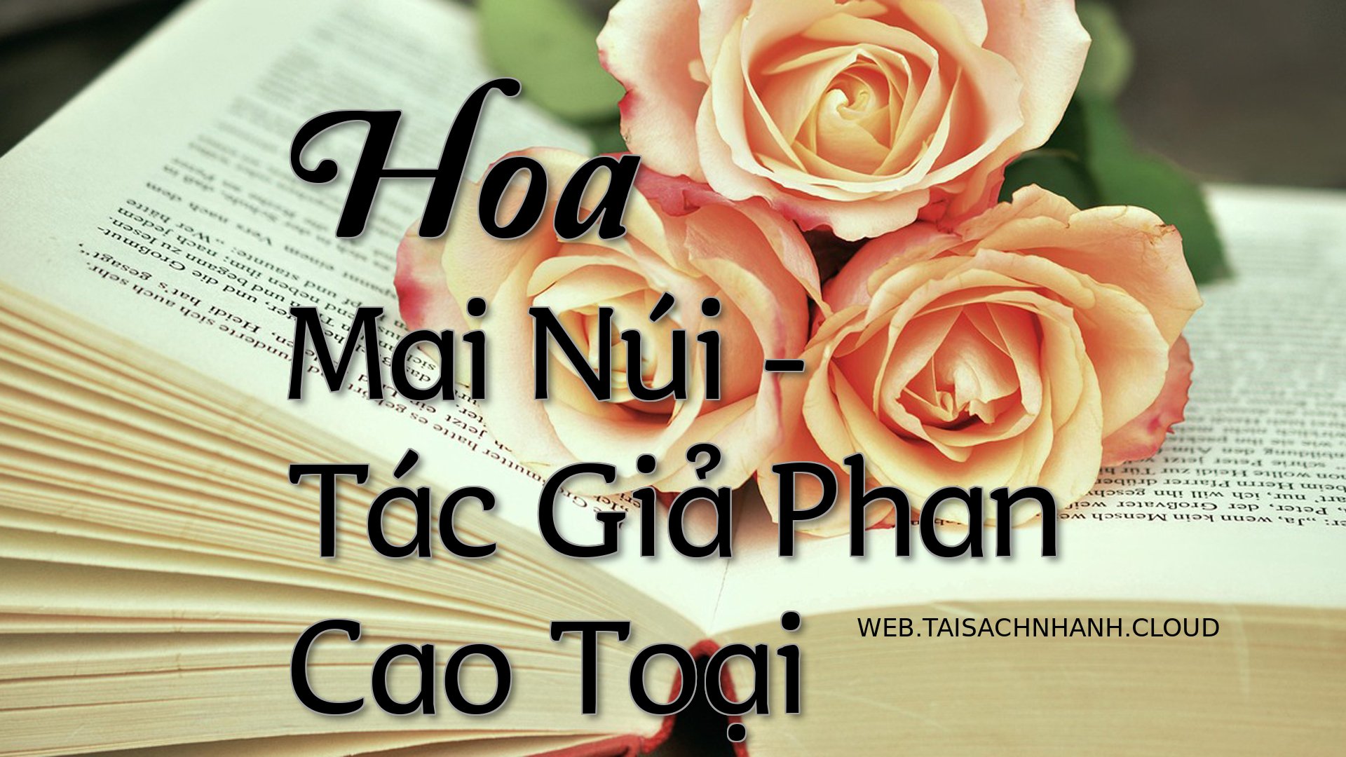 Cover Hoa Mai Nui.jpg