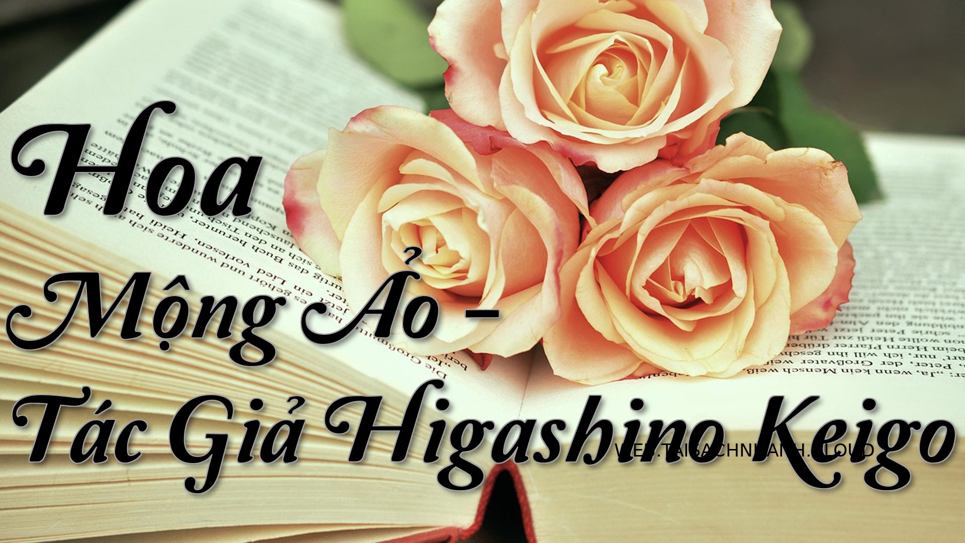 Cover Hoa Mong Ao.jpg