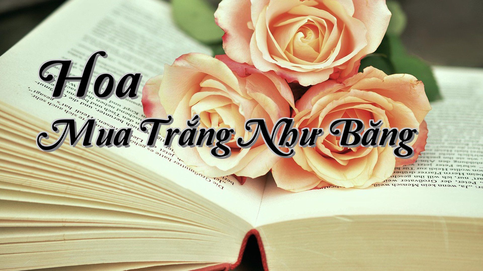 cover-Hoa Mua Trắng Như Băng