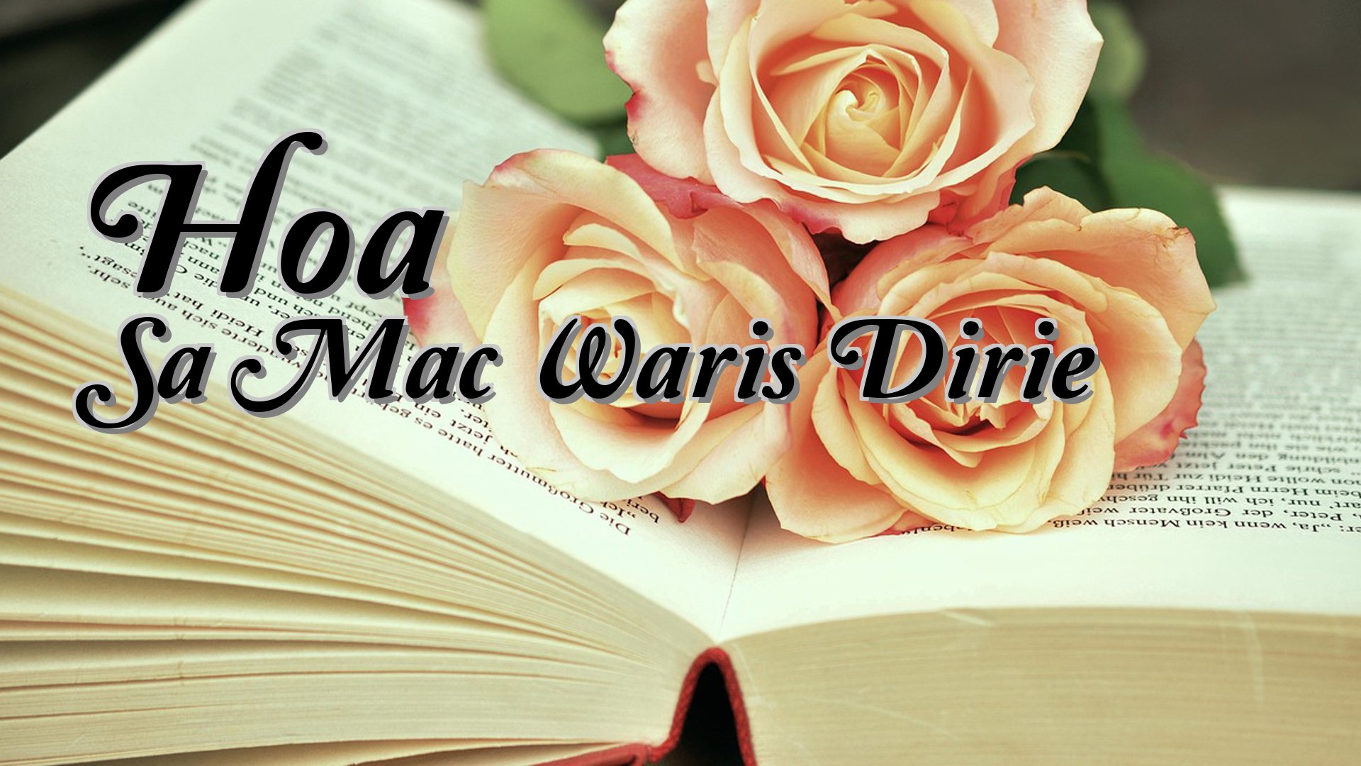 cover-Hoa Sa Mac Waris Dirie
