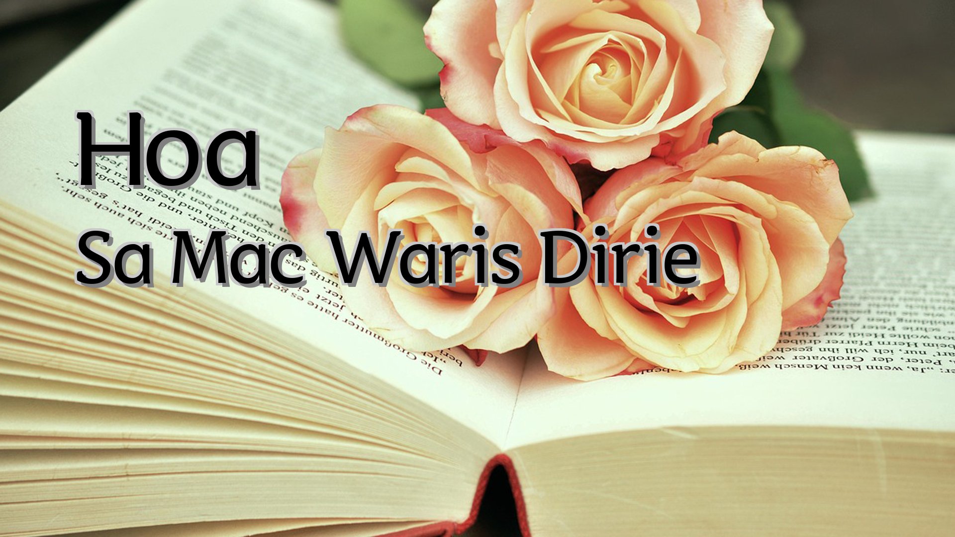 cover-Hoa Sa Mac Waris Dirie