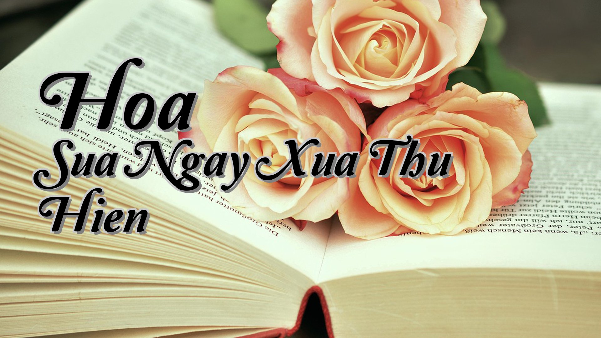 cover-Hoa Sua Ngay Xua Thu Hien