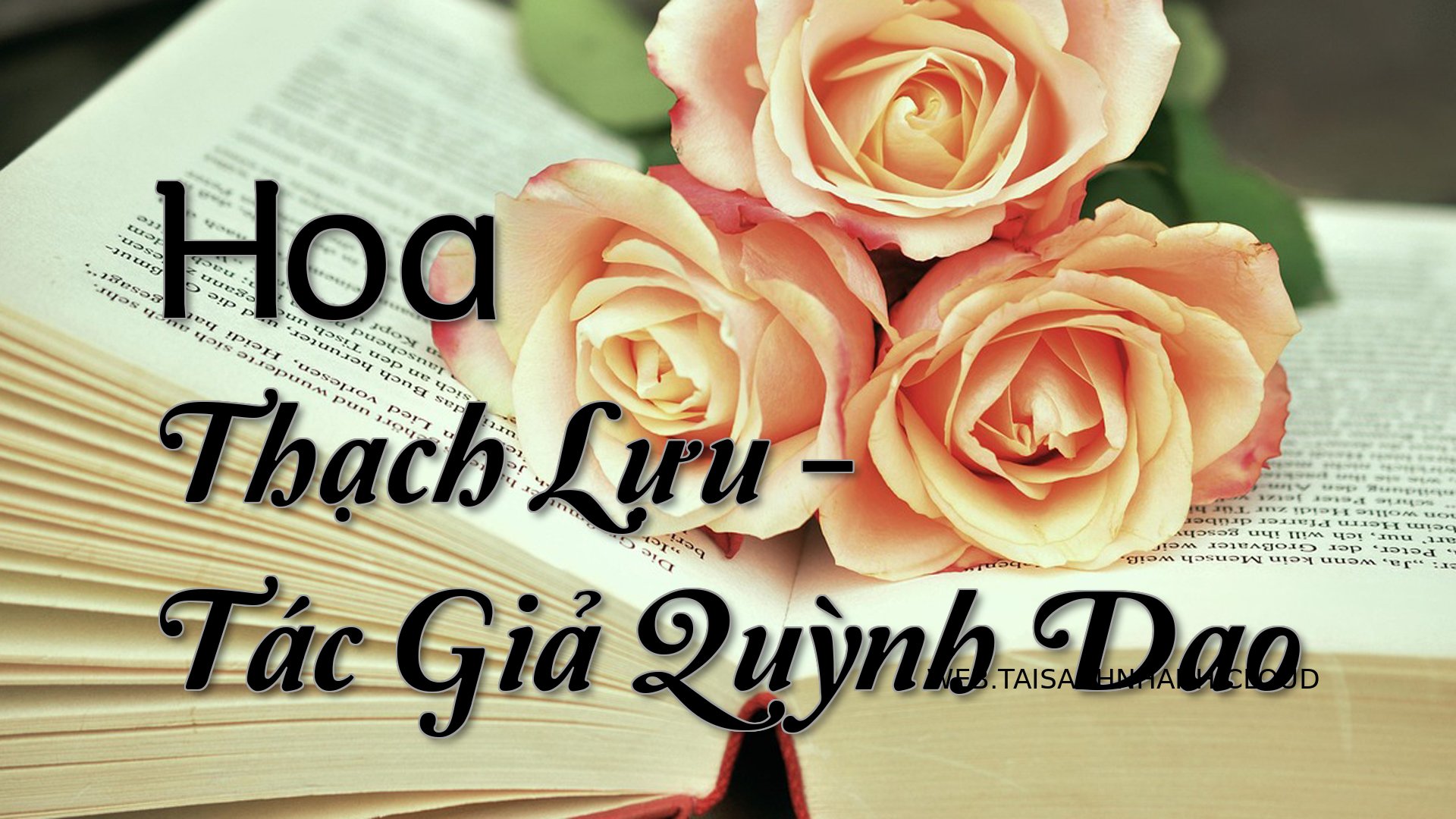 Cover Hoa Thach Luu.jpg