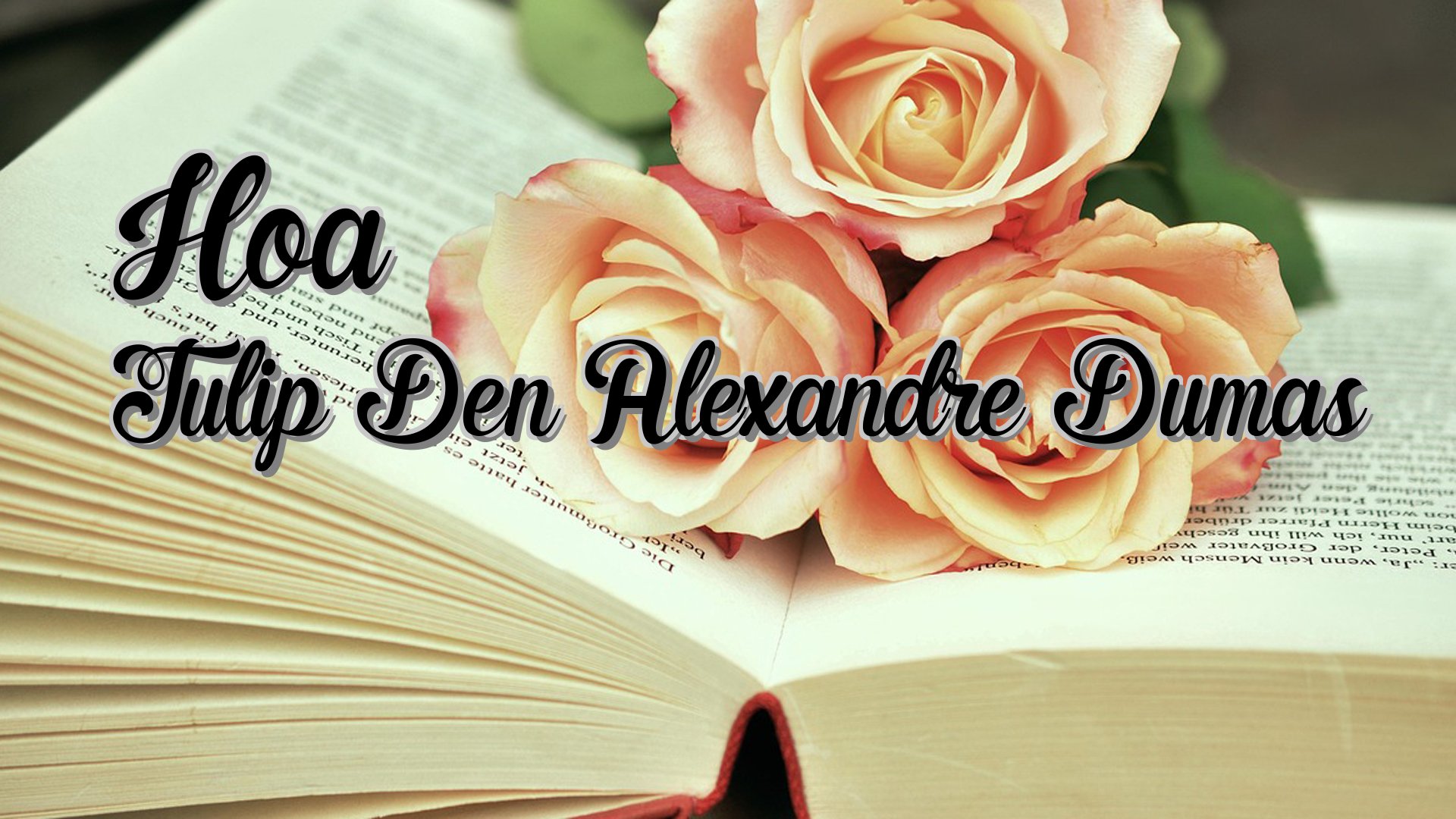 Cover image for Hoa Tulip Den Alexandre Dumas