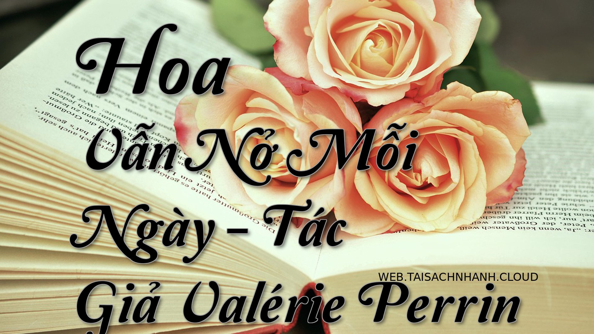 Cover Hoa Van No Moi Ngay.jpg