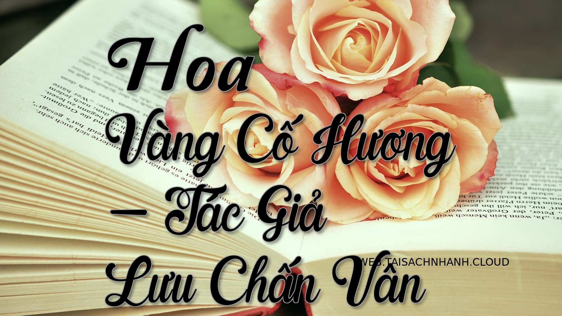 Cover Hoa Vang Co Huong.jpg