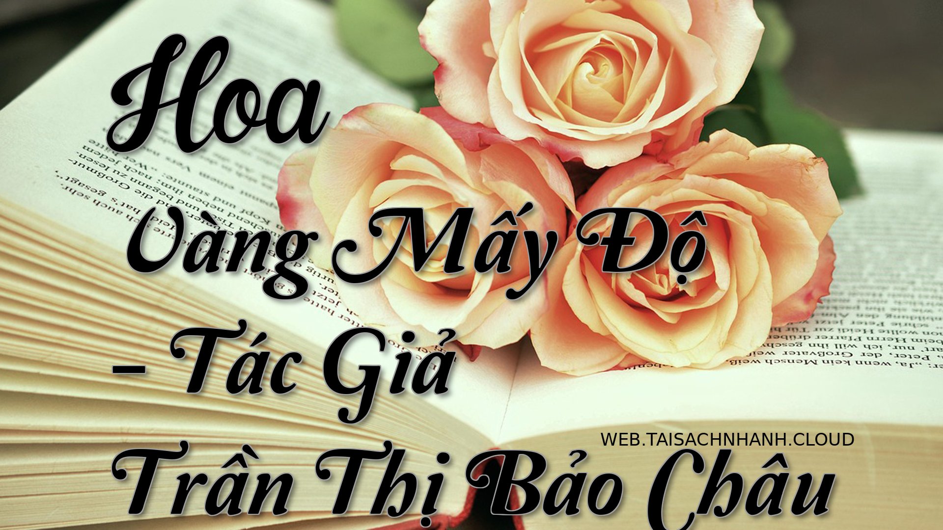 Cover Hoa Vang May Do.jpg
